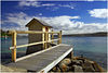 May 2007 : Please click on an image for a larger view.