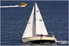 March 2006 : Please click on an image for a larger view.